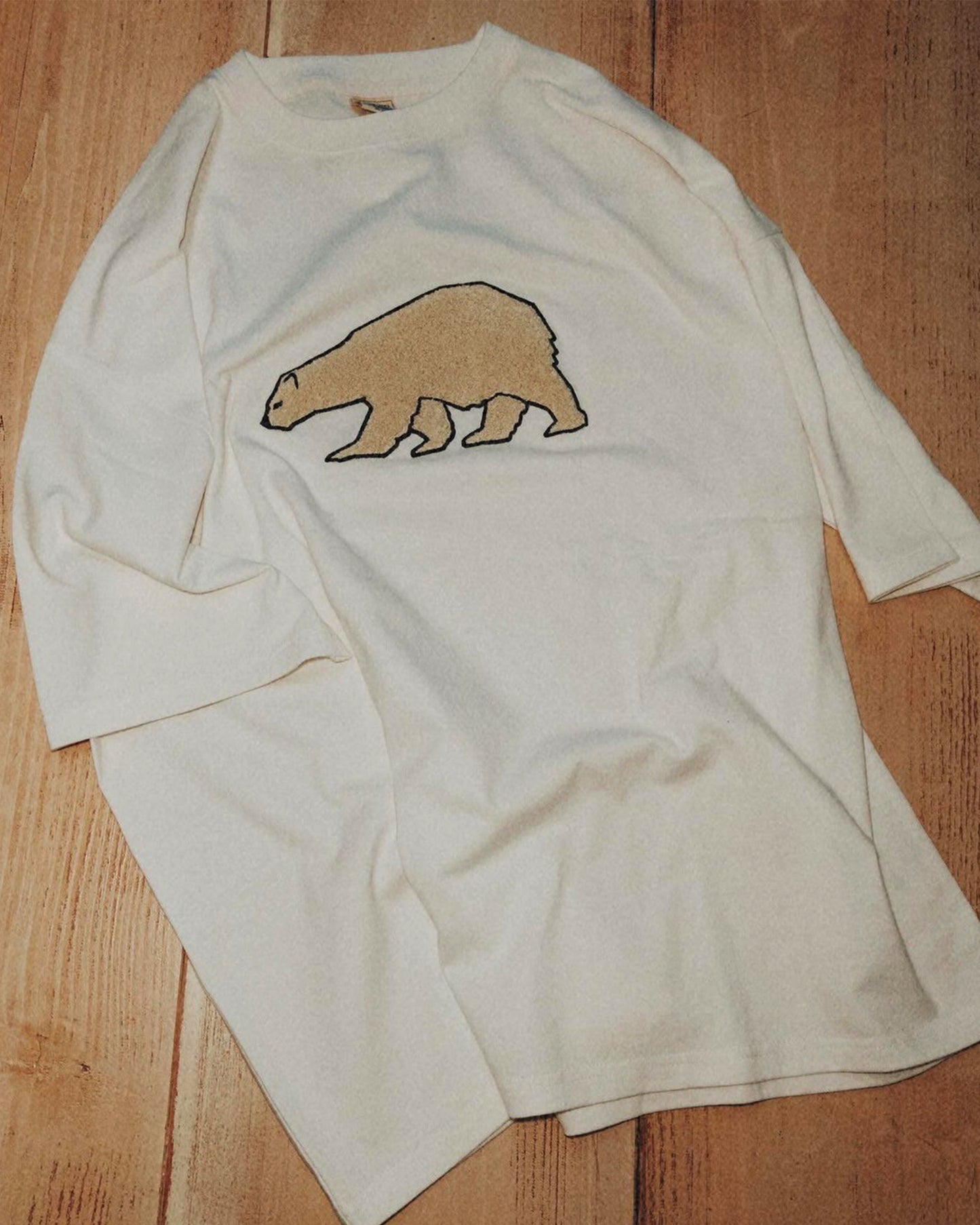 Polar Meeting TEE