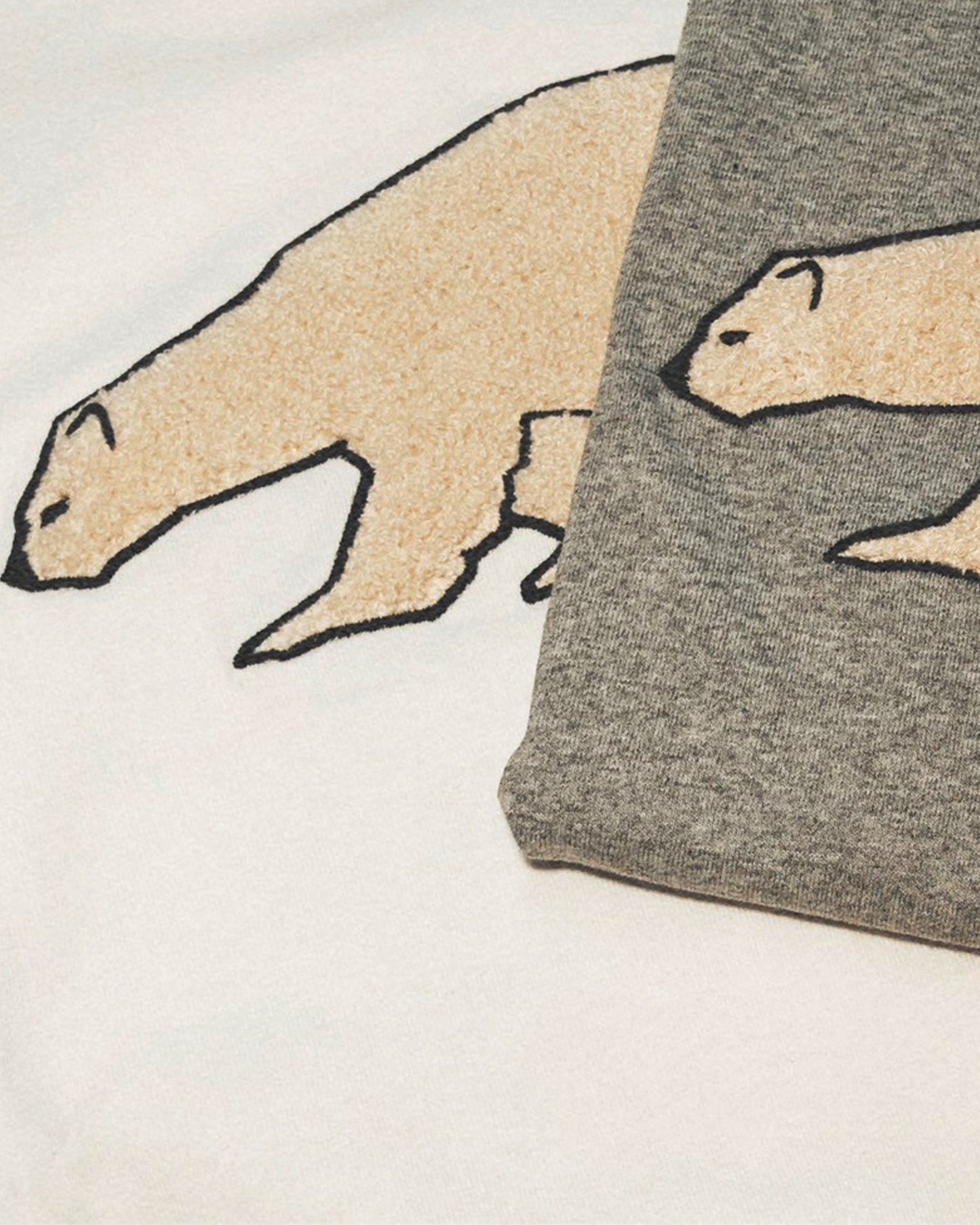 Polar Meeting TEE