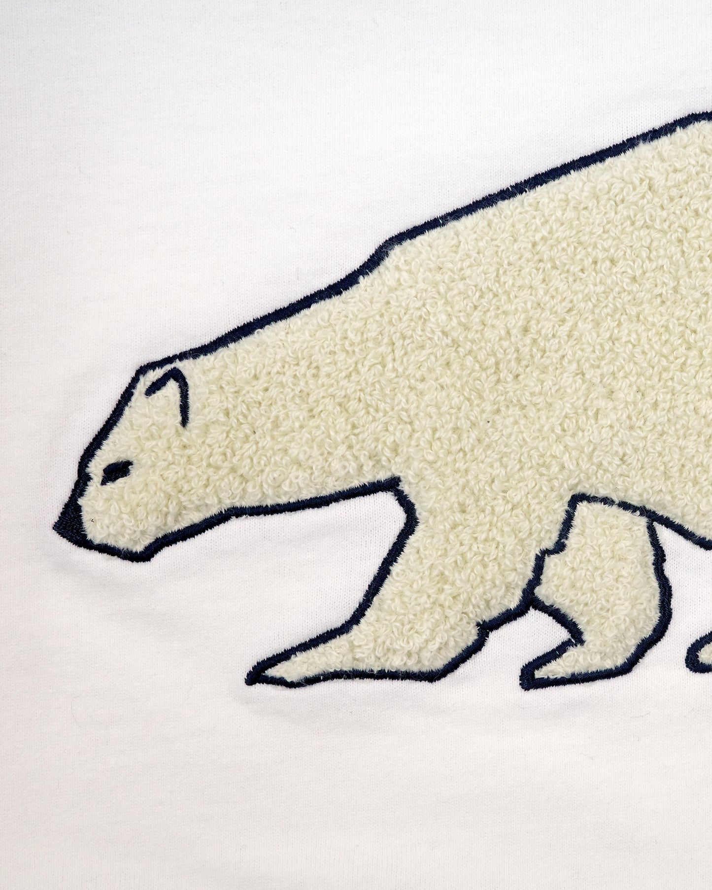 Polar Meeting TEE