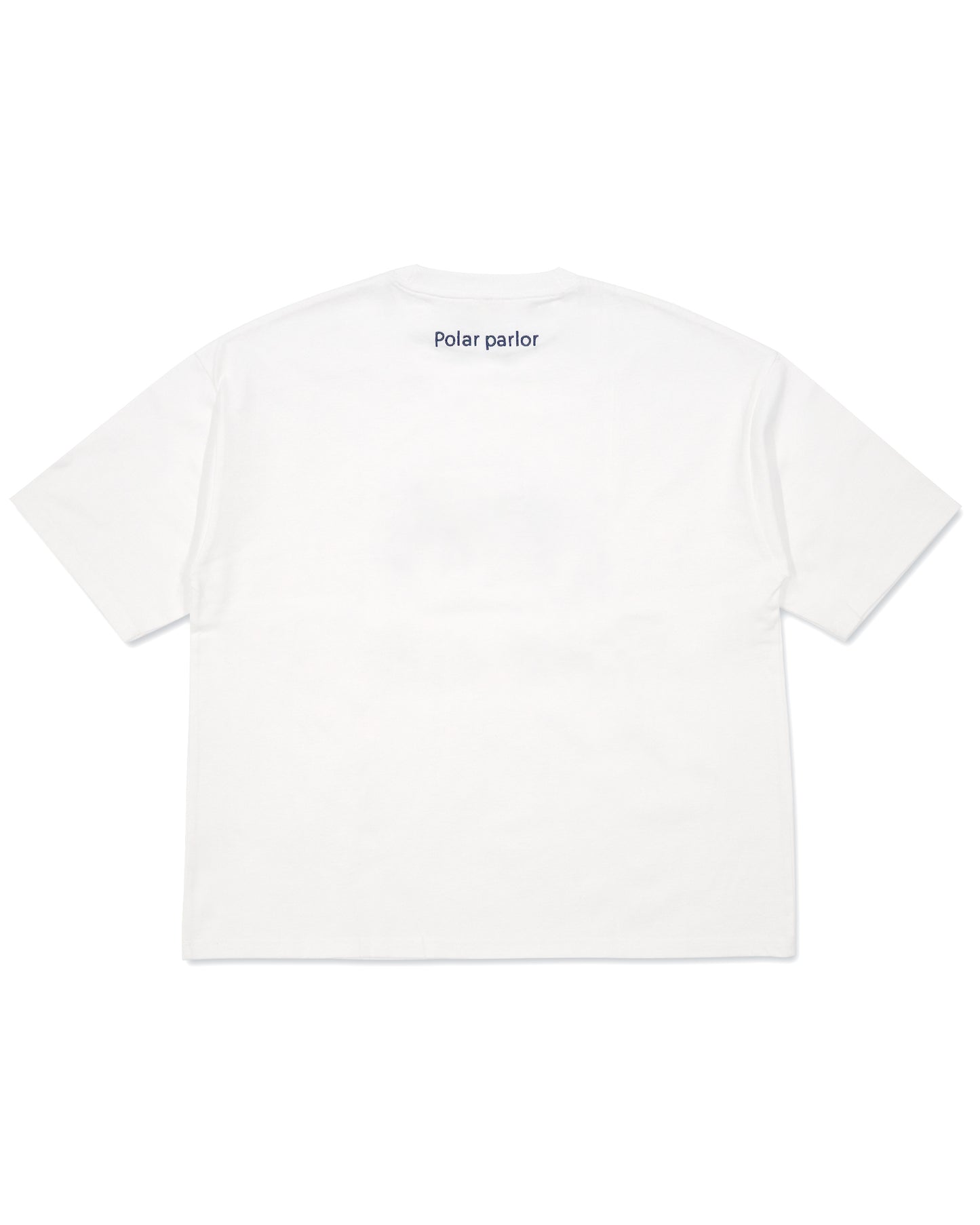 Polar Meeting TEE