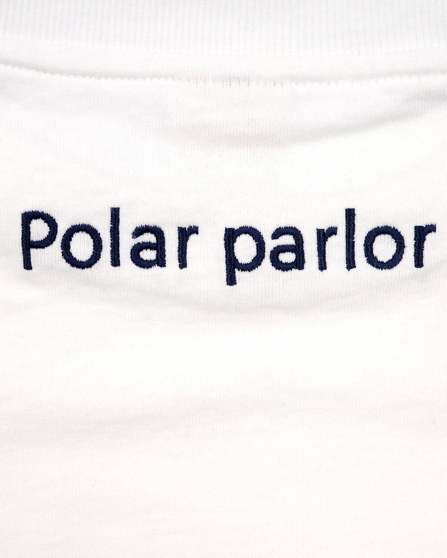 Polar Meeting TEE