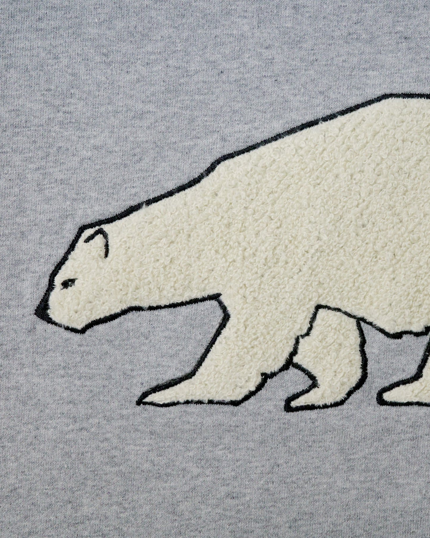 Polar Meeting TEE