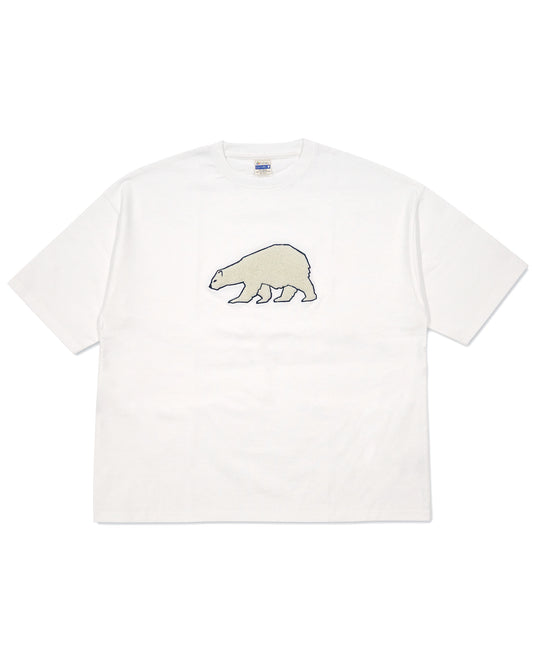 Polar Meeting TEE